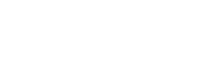 Noetika logo